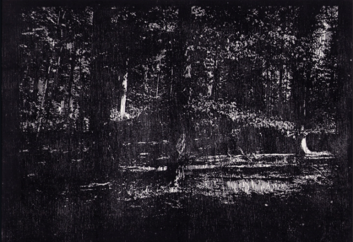Pas peur du Loup, 2025, xylogravure, dim plaque: 30x42 cm