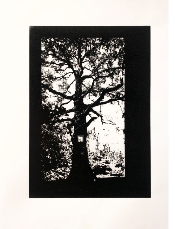 "Spiegel, le témoin" Gravure sur bois. 42 x 28 cm